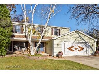 1142 Hampshire Ct, Schaumburg IL  60193-4216 exterior