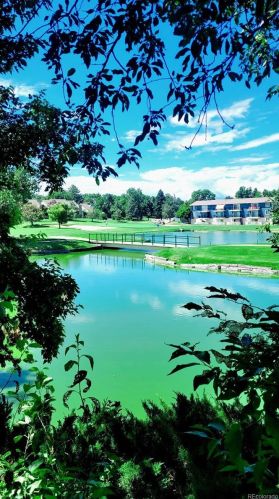 13344 Asbury Dr, Aurora CO  80014-4305 exterior