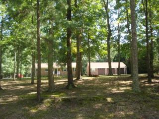 11605 Latane Wood Ct, Chesterfield, VA 23838-4302