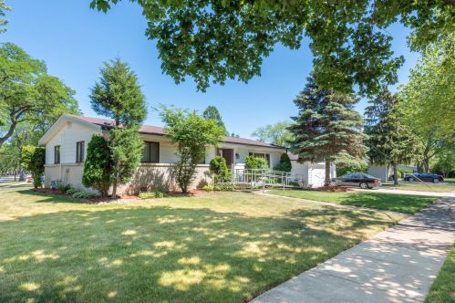 317 Macarthur Dr, Palatine, IL 60074-5441