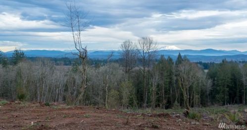 190 Hidden Acres Ln, Winlock, WA 98596-9300