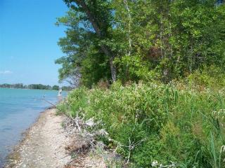 1 Ashton Ln, Dalton, MN 56324
