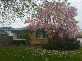 13717 Crestview Ct, Crestwood, IL 60445-1885
