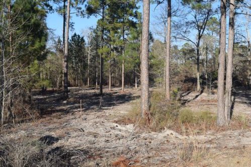 104 Oakhurst Ct, Oakfield, GA 31772-7002
