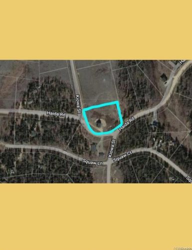 1807 Kiowa St, Fairplay CO 80456 exterior