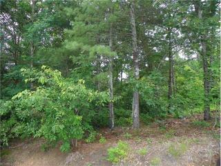 56 High Bluff Dr, Weaverville, NC 28787-8902