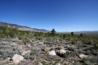65 Five Creek Rd, Gardnerville, NV 89460-6442