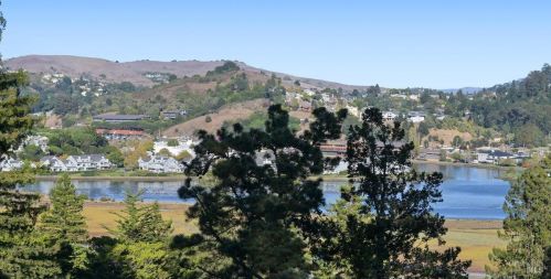 209 California Ave, Mill Valley, CA 94941-3511