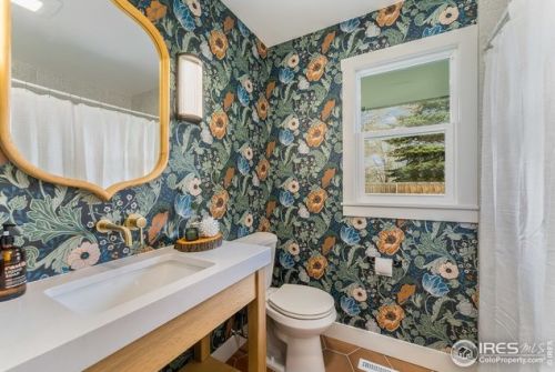 1316 Pitkin St, Fort Collins CO  80524-4020 exterior