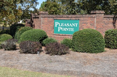 225 Avondale Ln, Burnettown, SC 29851-3217