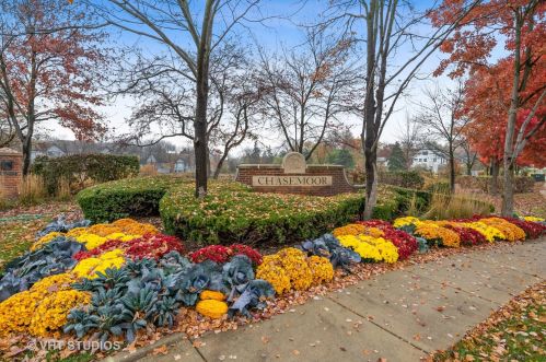 33 Stonehenge Ct, Willowbrook IL  60527-6414 exterior