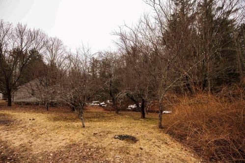 78 Center Hill Rd, Chichester, NH 03234-4808