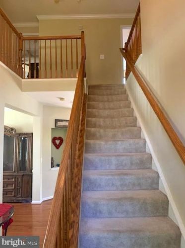 18061 Camdenhurst Dr, Gainesville VA  20155-6239 exterior