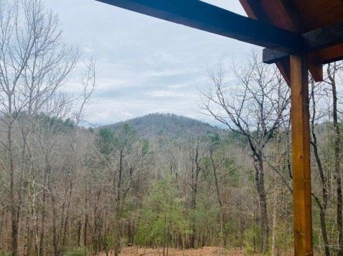 152 Oceola Dr, Ellijay, GA 30540-0885