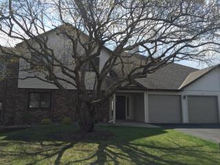 4229 Magnolia Ln, Minneapolis MN  55441-1253 exterior