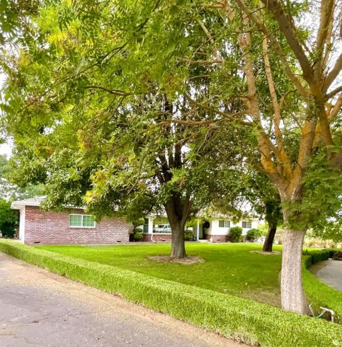 21143 Olive Ave, Ripon, CA 95366-9608