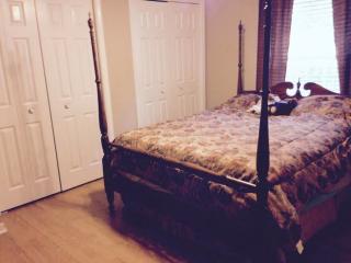 117 Fremont St, Naperville IL  60540-4324 exterior