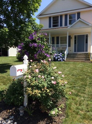 12 Porter Grn, Wapping CT  06074-6905 exterior