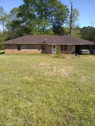 132 Raymond Sills Rd, Arm, MS 39663-4440