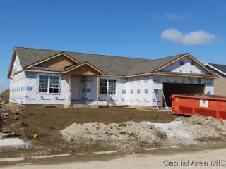 1811 Prairie Vista Dr, Chatham, IL 62629-5092