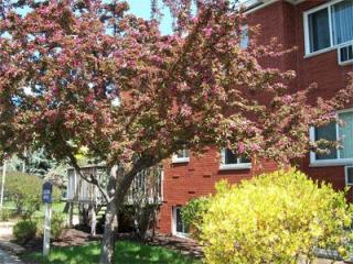 364 Marie Ave, Saint Paul MN  55118-4018 exterior