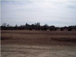 153 Sassafras Ct, Walterboro, SC 29488-9011