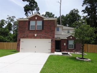 10200 Red Fern Ct, Conroe TX  77385-6210 exterior