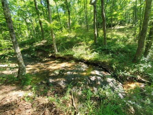 163 Sequoia Trce, Cleveland, GA 30528-0065