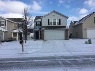 10992 Cedar Pine Dr, Indianapolis IN  46235-5801 exterior