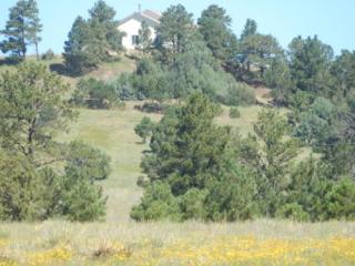 37450 Comanche Creek Rd, Kiowa CO  80117-8600 exterior