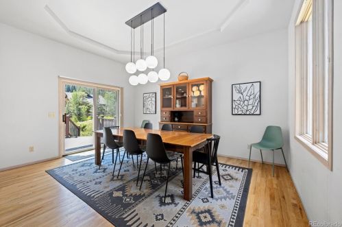 21 Saw Whiskers Cir, Montezuma CO  80435-7903 exterior