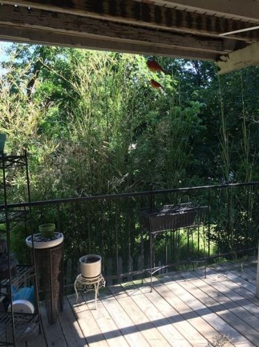 3804 Byers Ave, Fort Worth TX  76107-4537 exterior