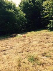 1246 Tate Rd, Drummonds, TN 38023-7430