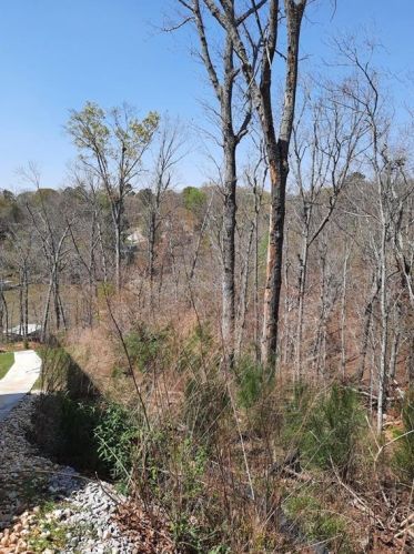 1550 Patten Dr, Gainesville, GA 30501-2125