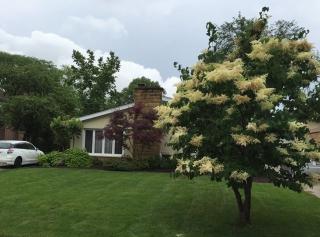 2523 Fontana Dr, Glenview, IL 60025-4703