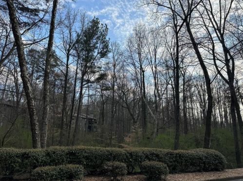 804 Cumberland Ct, Smyrna GA  30080-8652 exterior