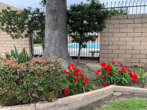 716 Fairhaven St, Anaheim CA  92801-4002 exterior