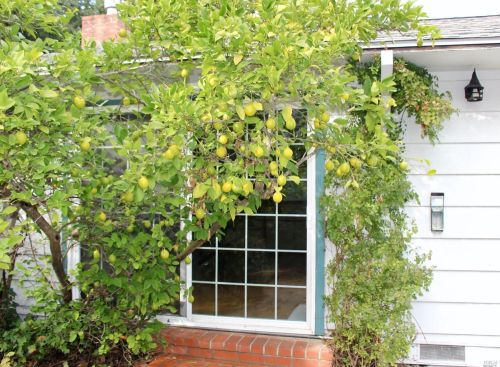 395 Spg St, Ukiah CA 95482-4221 exterior