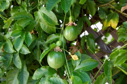 4217 Boston Ave, Glendale CA  91214-2411 exterior