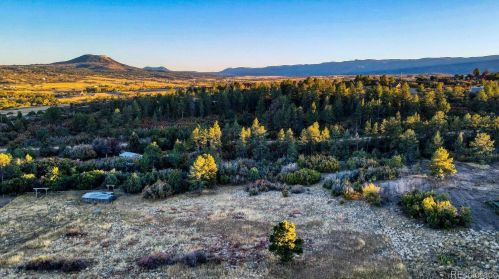 588 Coronado Dr, Deckers CO 80135-8316 exterior