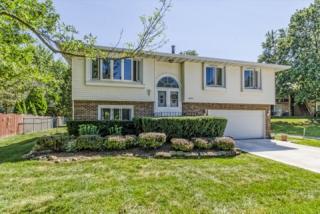 2625 Old Tavern Rd, Lisle, IL 60532-1077
