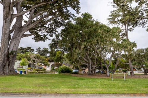 502 Platt Ct, Del Monte Park, CA 93950-4916