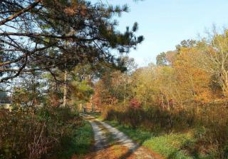 105 Railroad Ct, Portland, TN 37148-4977