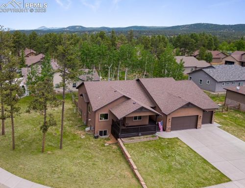 1171 Ptarmigan Dr, Woodland Park CO  80863-8005 exterior