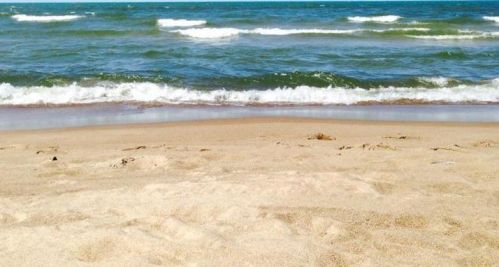 747 Newton St, Gary IN  46405-1131 exterior