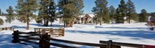465 Old Snag Cir, Breen, CO 81326-8718
