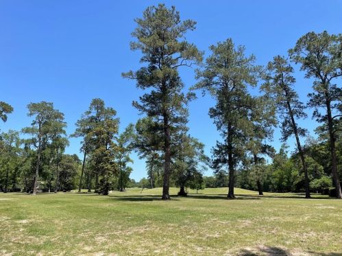 612 Arkansas Park, Conroe TX  77302-1037 exterior
