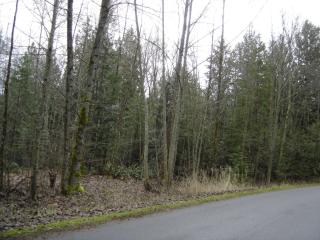 5680 Knight Rd, Bellingham, WA 98226-7521