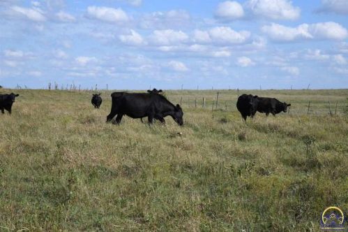 900 Road, Americus, KS 66835