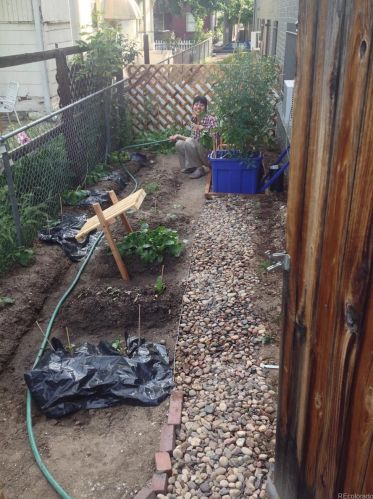 1056 Marion St, Denver CO  80218-3067 exterior